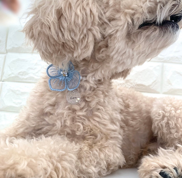 "名入れ可能" オーガンジーフラワー パール 首輪 可愛い 犬 猫 ペット ブルー 1枚目の画像
