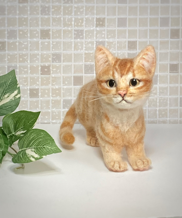 ハンドメイド 羊毛フェルト 猫 ぬいぐるみ　　子猫　茶トラ インテリア ネコ Amazon.co.jp: 【アクレーヌ】スターターキット（針・マット