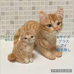 受注商品 Lサイズ 茶トラ　子猫　羊毛フェルト　置物　ハンドメイドぬいぐるみ　刺し固め 9枚目の画像