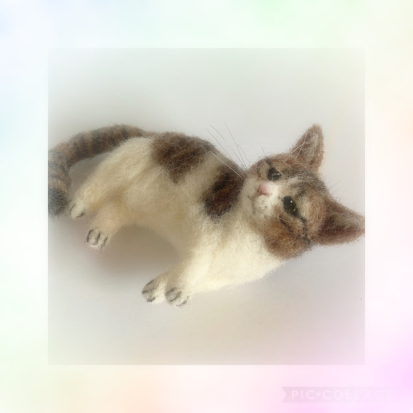 受注商品♪mia♪ sサイズ  キジ白猫　猫　ハンドメイド 羊毛フェルト 5枚目の画像