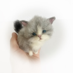 mia 受注商品 ノルウェージャンフォレストキャット 置物 猫 長毛