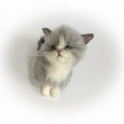 受注商品♪mia♪ sサイズ  ラグドール　ふわふわ　子猫　猫　ハンドメイド　羊毛フェルト　置物 2枚目の画像