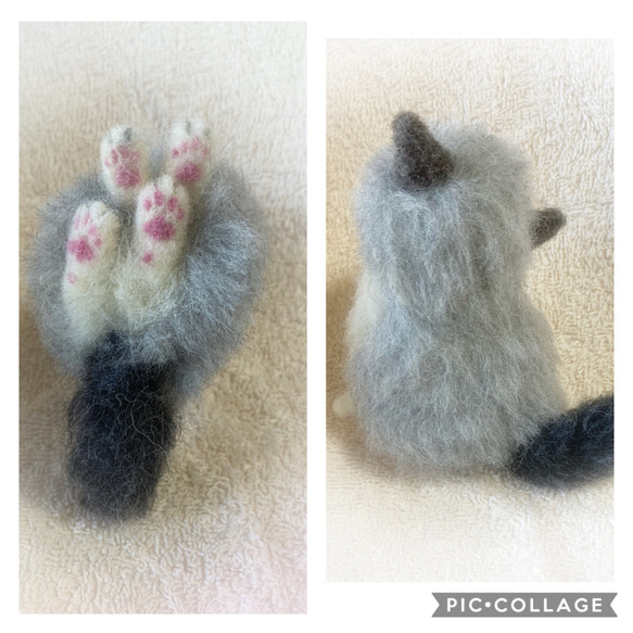 受注商品♪mia♪ sサイズ  ラグドール　ふわふわ　子猫　猫　ハンドメイド　羊毛フェルト　置物 3枚目の画像