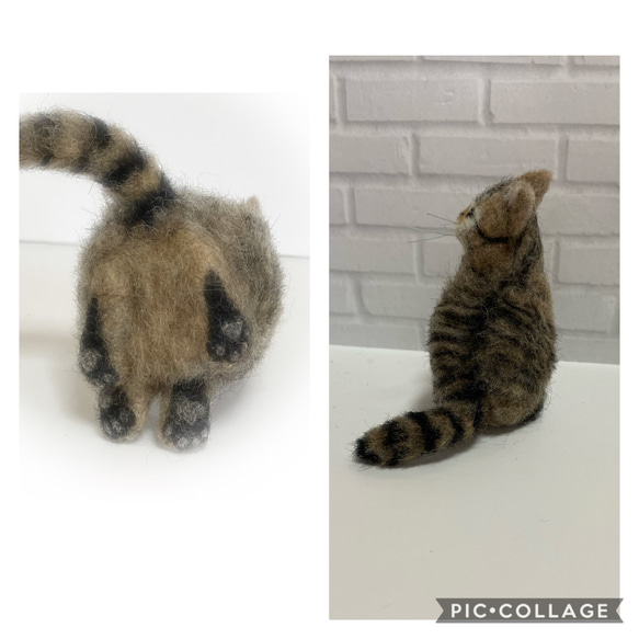 受注商品mia♪ sサイズ  キジトラ　ふわふわ　子猫　猫　羊毛フェルト　ハンドメイド　置物 5枚目の画像