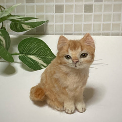 チェックシャツ茶トラ猫のアートドール　【ハンドメイド】猫　ぬいぐるみ Yahoo!オークション - fity fity 茶トラ猫ちゃん ハンドメイド