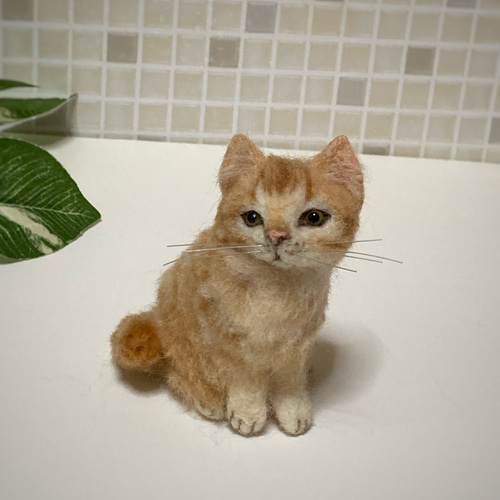 ♪mia♪ 茶トラ sサイズ 子猫 ハンドメイド 羊毛フェルト ♪mia♪ 茶トラ sサイズ 子猫 ハンドメイド 羊毛フェルト