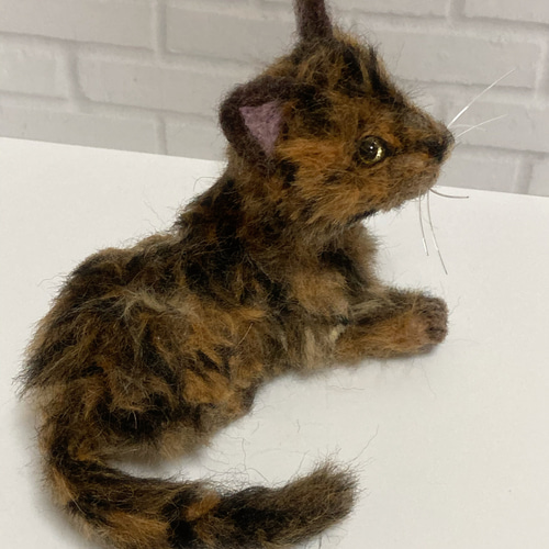 受注商品 mia Mサイズ サビ猫 フワフワ 羊毛フェルト