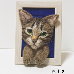 受注商品　mia 額縁猫ちゃん　キジトラ　写真立て 1枚目の画像