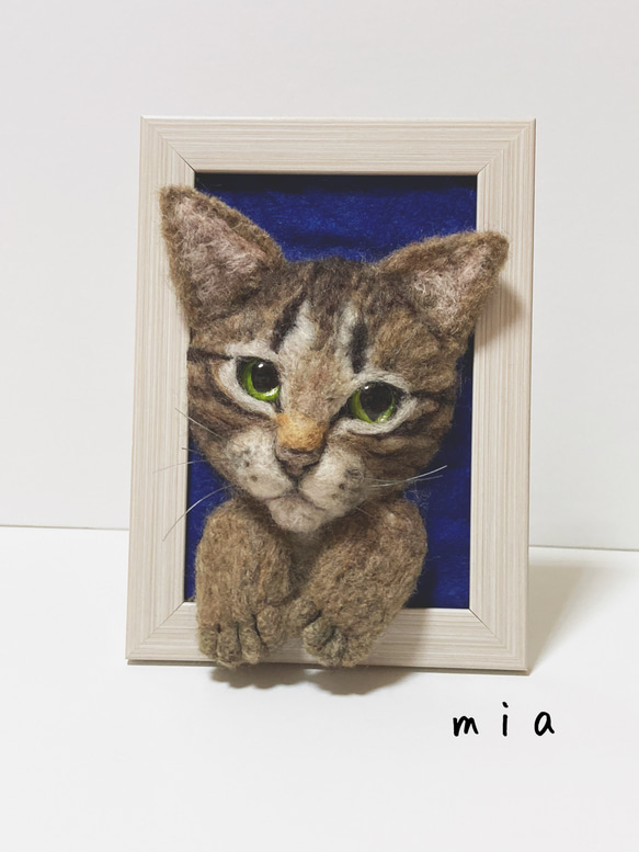 受注商品　mia 額縁猫ちゃん　キジトラ　写真立て 1枚目の画像