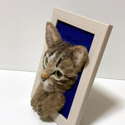 受注商品　mia 額縁猫ちゃん　キジトラ　写真立て 2枚目の画像
