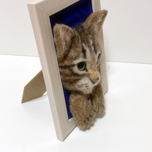 受注商品 mia 額縁猫ちゃん キジトラ 写真立て 羊毛フェルト 展示に