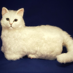 L L Lサイズ 白猫ちゃん 猫 ふわふわ 置物 受注商品 羊毛 L L Lサイズ 白猫ちゃん 猫 ふわふわ 置物 受注商品 羊毛