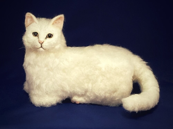 白猫 L L Lサイズ 白猫ちゃん 猫 ふわふわ 置物 受注商品 羊毛