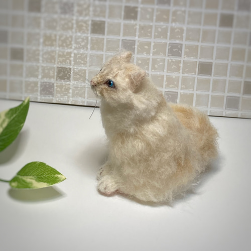 羊毛フェルト sサイズ 長毛種 ノルウェージャンフォレストキャット 猫 