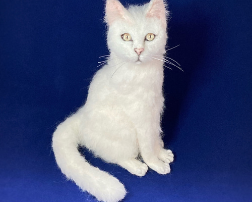 しろねこページ 受注商品 白猫 MとLの中間サイズ サンプルページ オーダー 羊毛