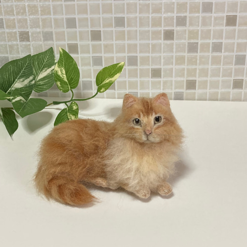 mia 受注商品 ノルウェージャンフォレストキャット 置物 猫 長毛