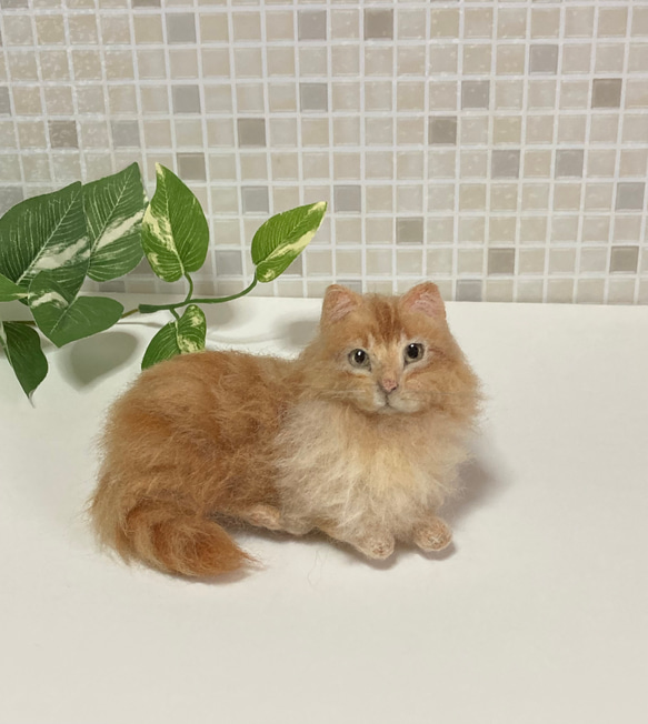 羊毛フェルト 猫 サンプルページ 茶トラ キジトラ クリーム色 ペットロス 楽天市場】羊毛フェルト玉 植毛ストレート キジトラ ミックス 3