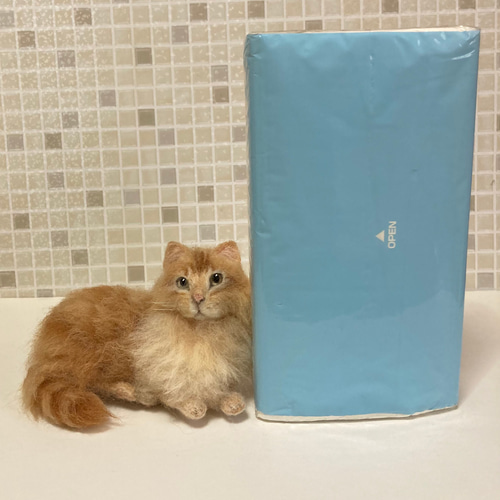 メインクーン 茶トラちゃん サンプルページ 羊毛フェルト 展示にサイズ