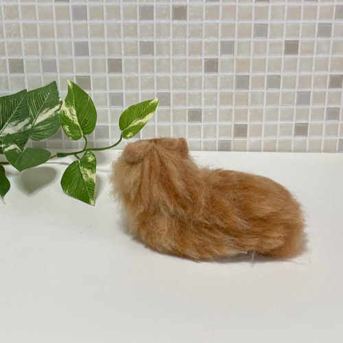 メインクーン 茶トラちゃん サンプルページ 羊毛フェルト 展示にサイズ