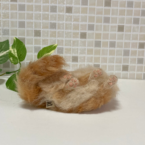 メインクーン 茶トラちゃん サンプルページ 羊毛フェルト 展示にサイズ