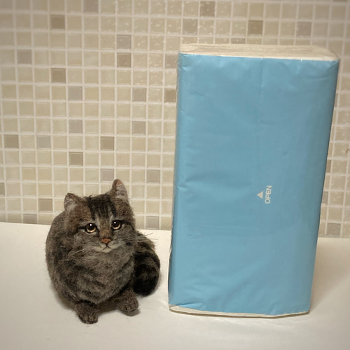 サンプルページ ノルウェージャンフォレスト キジトラ 黒キジ 羊毛