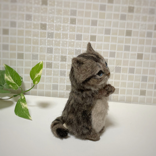 サンプルページ キジトラ 子猫 お願いポーズ 羊毛フェルト ハンドメイド mia キジトラ 子猫 お願いポーズ 置物 羊毛フェルト 展示にサイズ表有