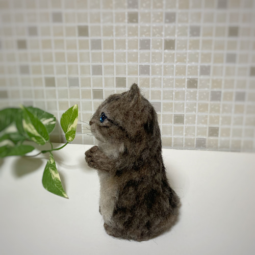 mia キジトラ 子猫 お願いポーズ 置物 羊毛フェルト 展示にサイズ表有