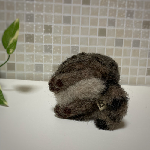 mia キジトラ 子猫 お願いポーズ 置物 羊毛フェルト 展示にサイズ表有