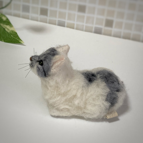 mia オーダーサンプルページ 猫 さば白 羊毛フェルト
