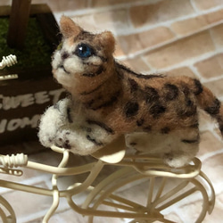 オッドアイ ベンガル 羊毛フェルト 超ミニサイズ 羊毛フェルト 展示に