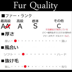 Fox（silver) 5枚目の画像