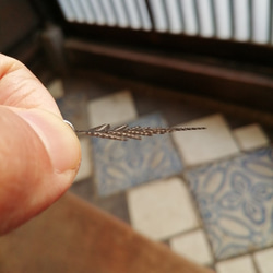 cometman 小さいシダの葉（裏面に胞子）のイヤリング 4枚目の画像