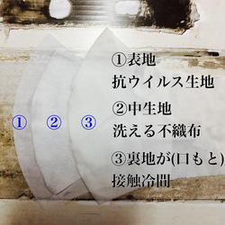 接触冷感　不織布フィルター内蔵の抗ウイルスマスク　三層構造　 洗える不織布内蔵　大人用と子供用 2枚目の画像