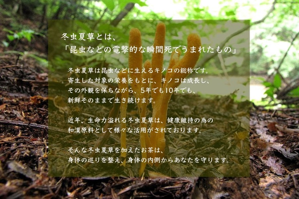 「こんなご時世だからこそ、活力をつける為に」季節巡茶 (きせつめぐりちゃ) 8枚目の画像