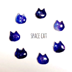 宇宙色の猫 ピアス/イヤリング 1枚目の画像