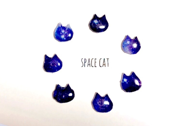 宇宙色の猫 ピアス/イヤリング 1枚目の画像