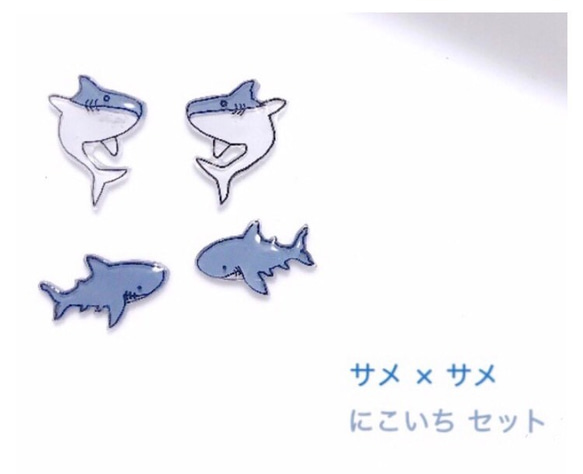 夏 透明感 サメ × サメ にこいち セット 1枚目の画像