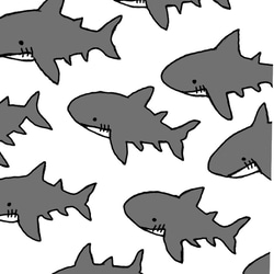 夏 透明感 サメ × サメ にこいち セット 5枚目の画像