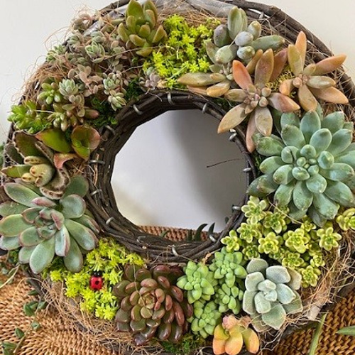 リース☆多肉植物寄せ植え☆インテリア 多肉植物 tohko garden 通販