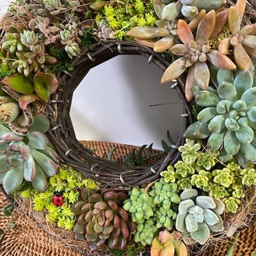 リース☆多肉植物寄せ植え☆インテリア 多肉植物 tohko garden 通販