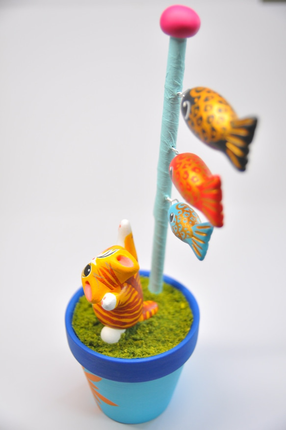 鉢シリーズ5月鯉のぼり（腹白黄トラ） 4枚目の画像