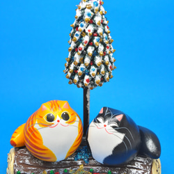 ブッシュドシャ（腹白黄トラ×白黒タキシード） 1枚目の画像