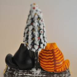 ブッシュドシャ（腹白黄トラ×白黒タキシード） 5枚目の画像