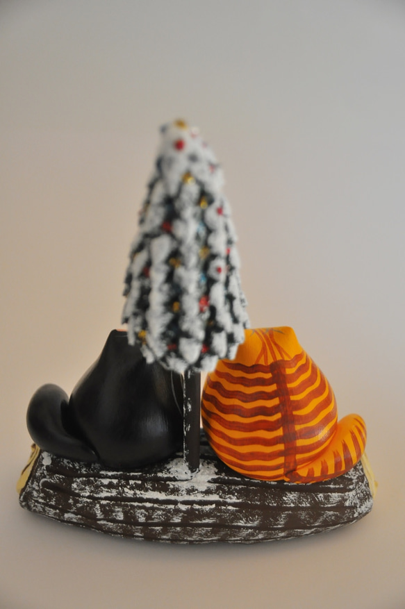 ブッシュドシャ（腹白黄トラ×白黒タキシード） 5枚目の画像