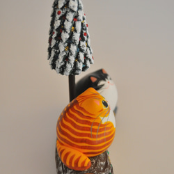 ブッシュドシャ（腹白黄トラ×白黒タキシード） 6枚目の画像