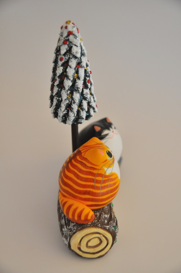 ブッシュドシャ（腹白黄トラ×白黒タキシード） 6枚目の画像