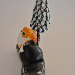 ブッシュドシャ（腹白黄トラ×白黒タキシード） 7枚目の画像