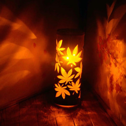 江藤様専用　※コード式対応　溢れる光　〜〜紅葉〜〜 1枚目の画像