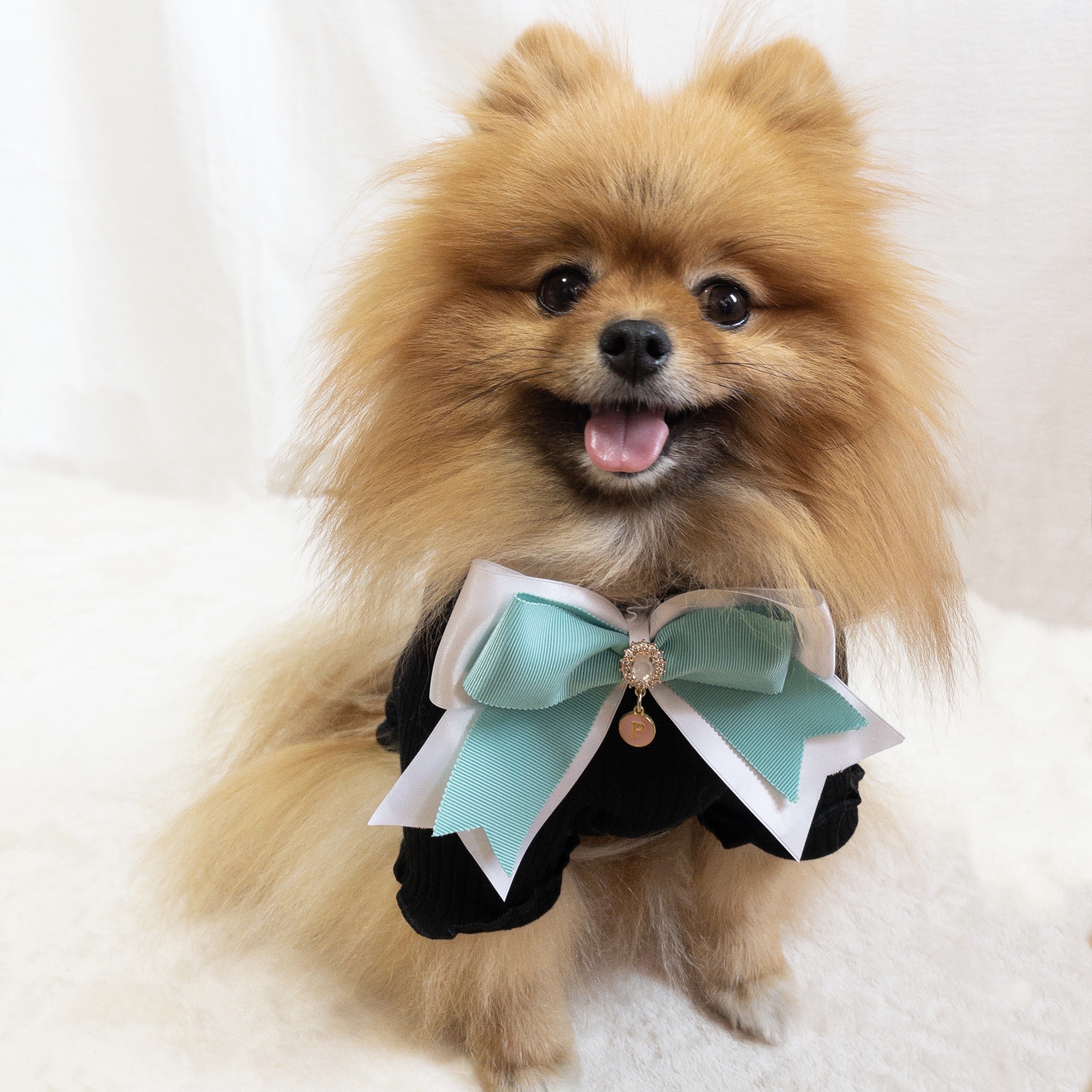 Riku様専用 犬服 ハンドメイド Riku様専用 犬服 ハンドメイド Riku様