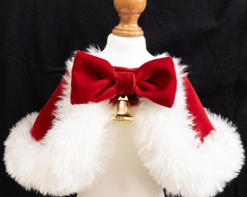 0_6927d89fbc76ba57c1cb067f2392